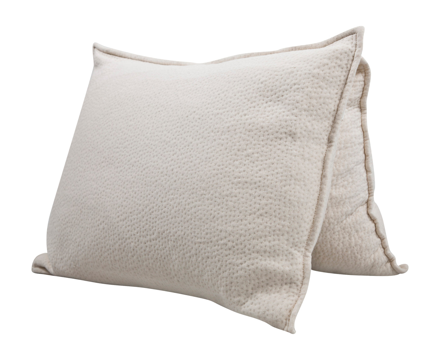 Toddler Pillow Organic Wool