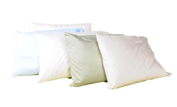 100% Organic Buckwheat l w/zip Pillows